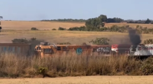 Trem cruza o cerrado em meio à seca; veja previsão do tempo para agosto