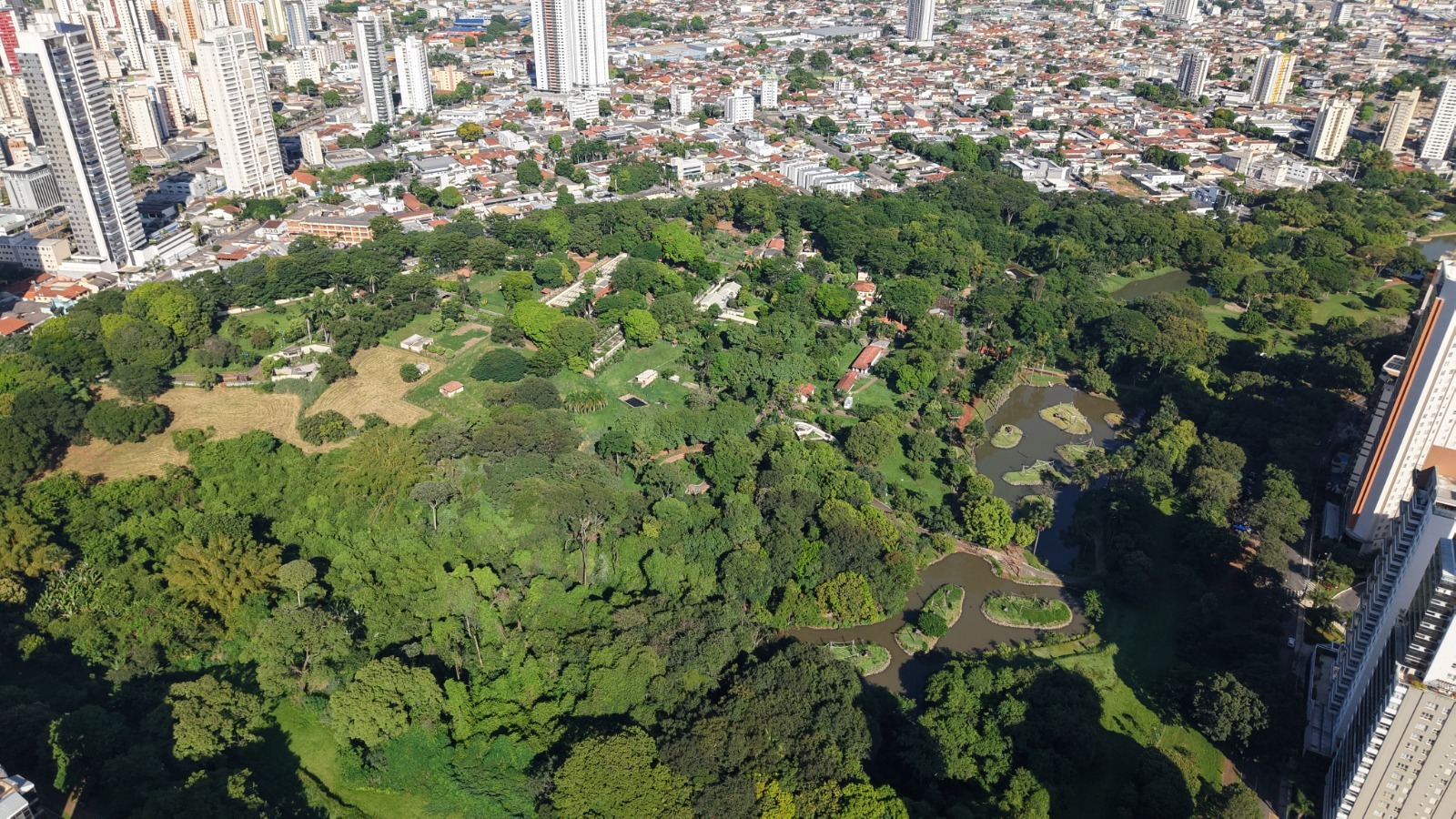 98,3% dos visitantes recomendam Goiânia como destino turístico