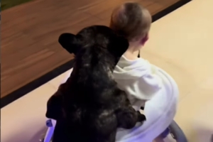 Cachorrinho ensina bebê a andar e os dois protagonizam cena de pura fofura