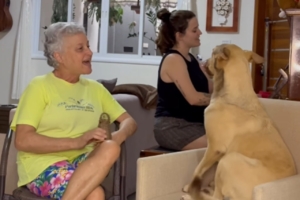 Caramelo canta ‘Se você está feliz’ com a família e cena encanta; veja vídeo