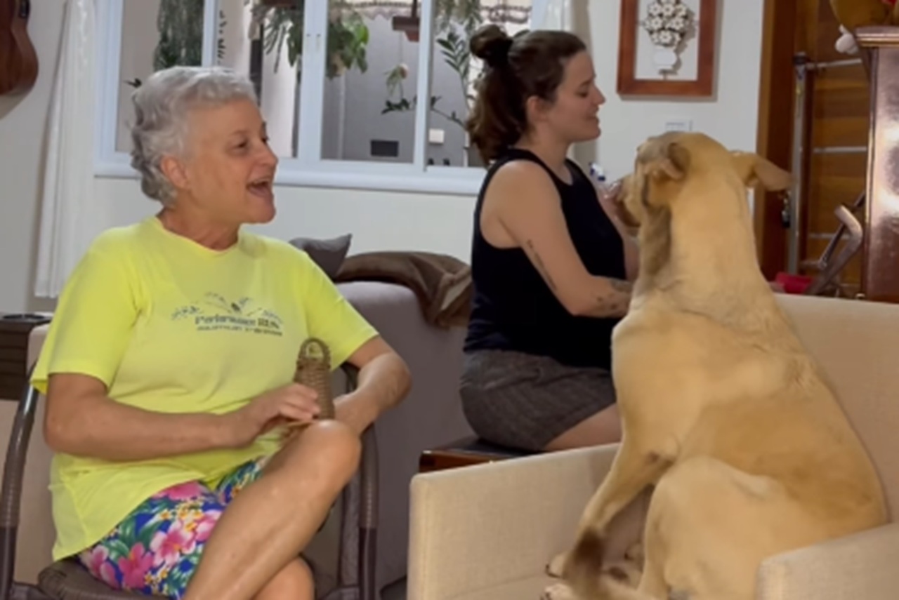 Imagem destacada do post: Caramelo canta ‘Se você está feliz’ com a família e cena encanta; veja vídeo