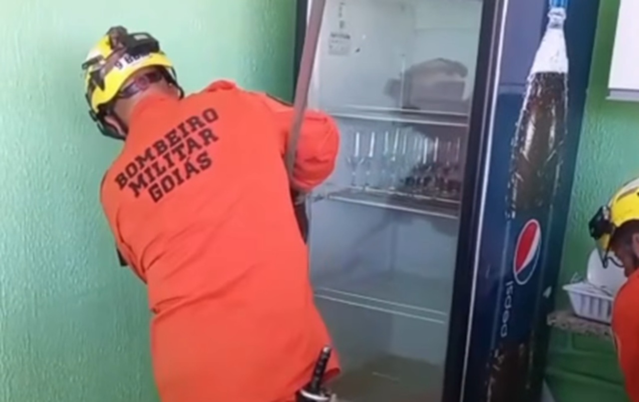 Bombeiros resgatam tamanduá-bandeira em clube de Caldas Novas