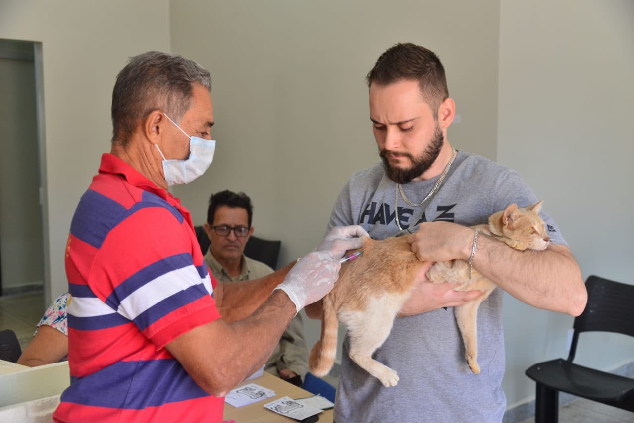 Dia D: Vacinação antirrábica terá 61 pontos em Aparecida de Goiânia no sábado (19)