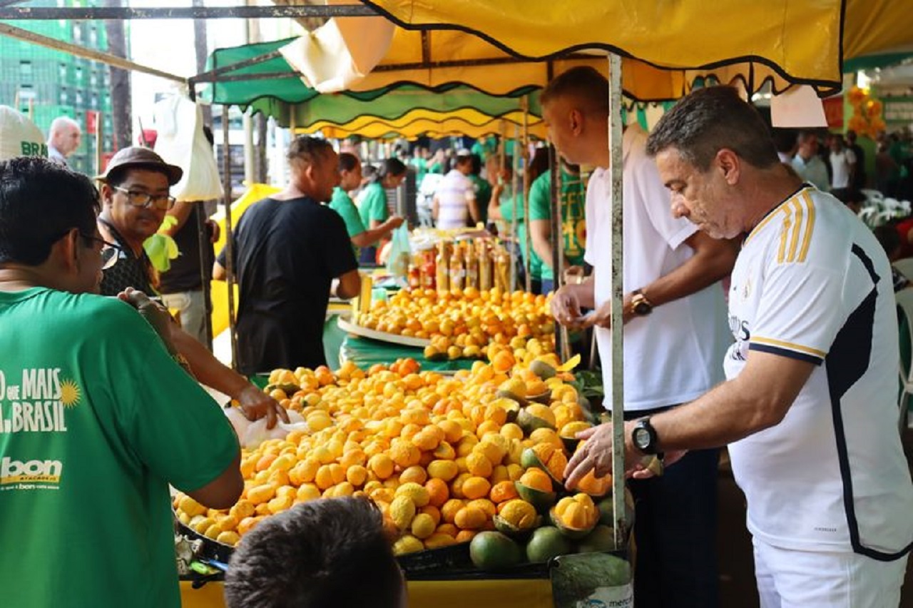 Temporada do pequi, fruto típico mais famoso do Cerrado, começa em Goiás