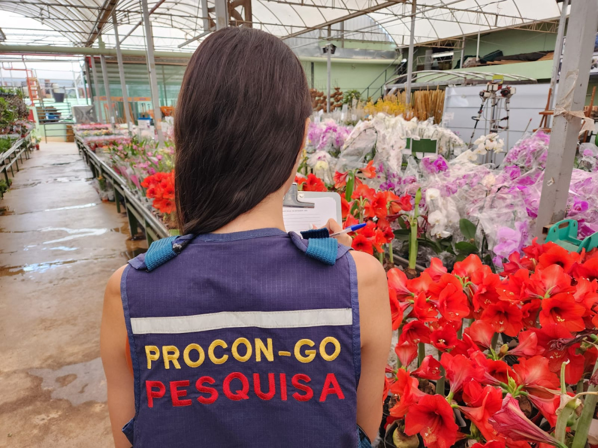 Flores têm variação de 605% no preço neste feriado de Finados, diz Procon Goiás